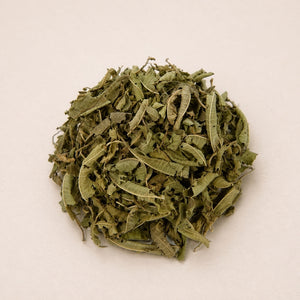 Verbena (Louisa)